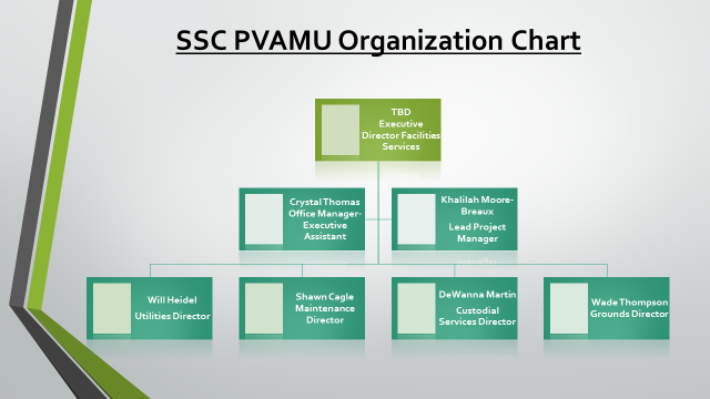 ssc-pvamu-org-chart-business-services