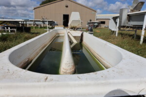 Banner Image of algae center