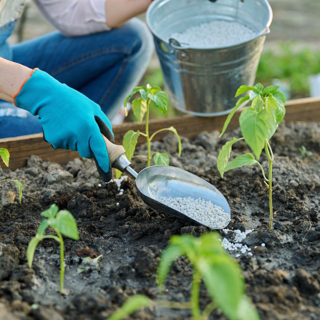 PVAMU’s Chiarella Awarded Grant to Combat Arsenic Contamination in Fertilizers