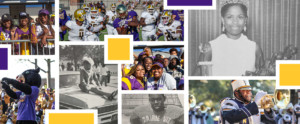 PVAMU Homecoming Banner